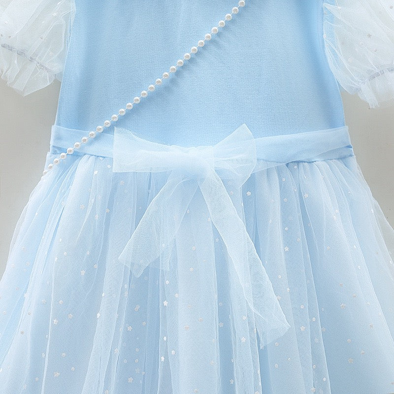 Girls short sleeves Princess Dress Frozen Queen Elsa Costume ( With bag)